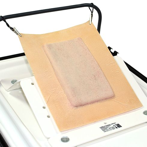 Surgical Dissection Pad - Large